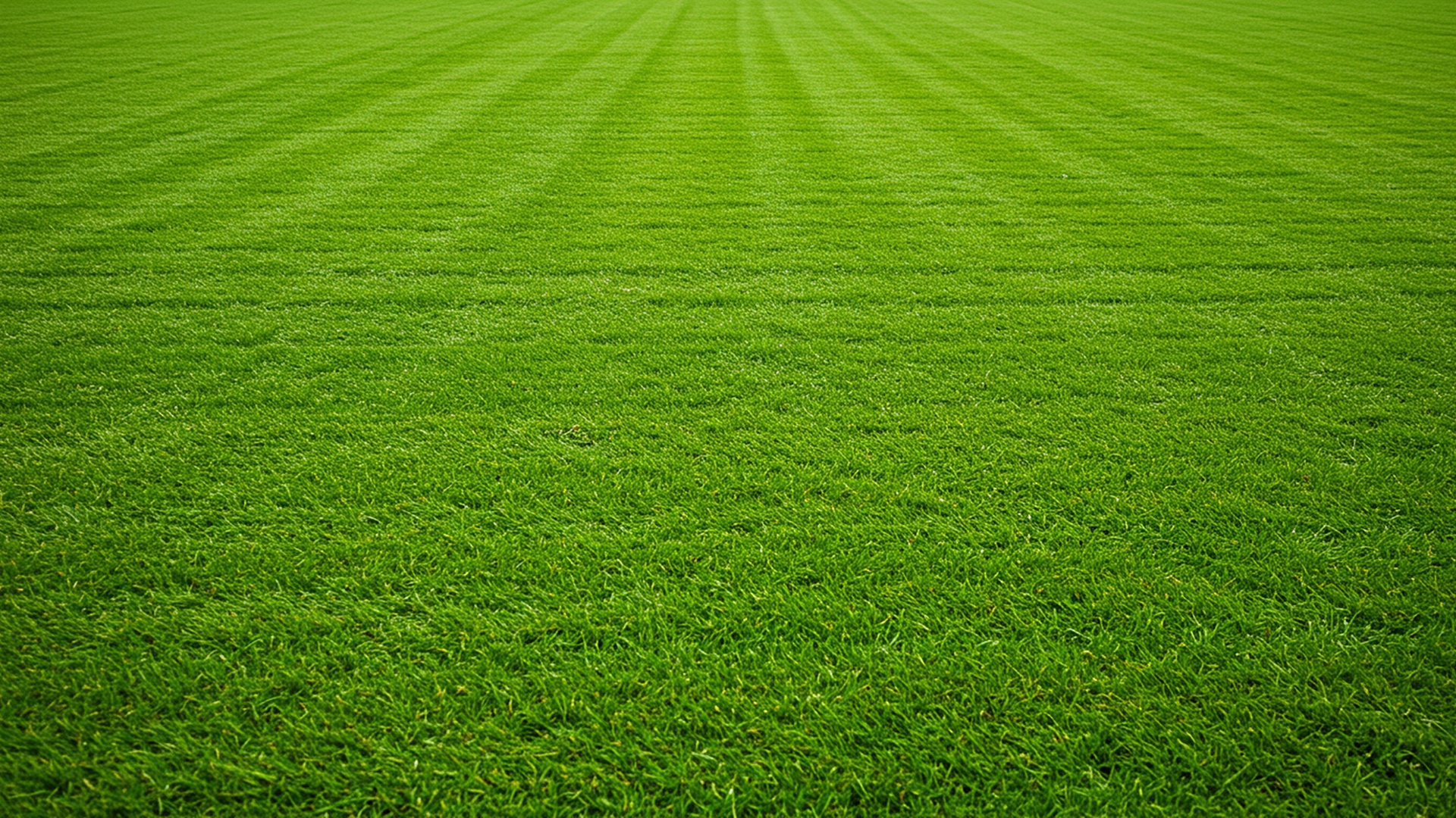Green lawn image