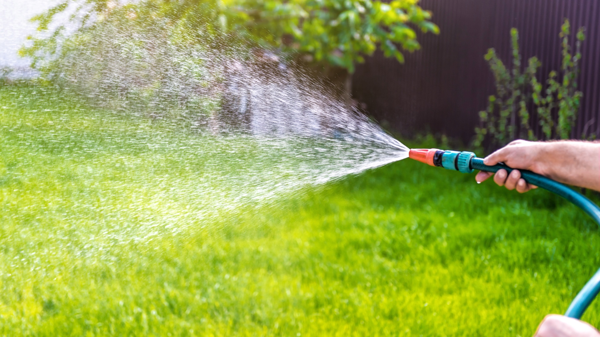 image of watering grass with hosepipe