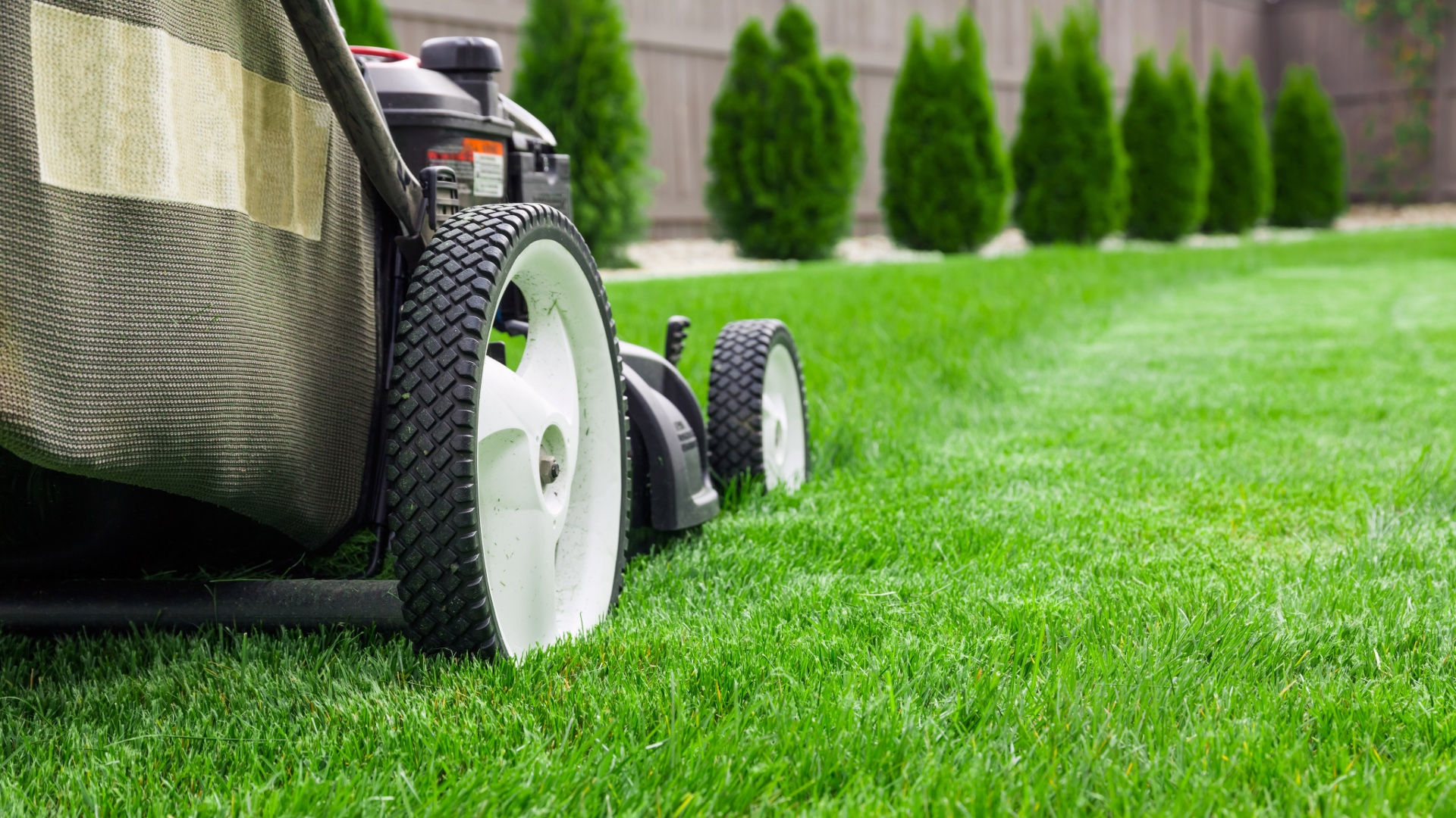 image of Lawn Mowing