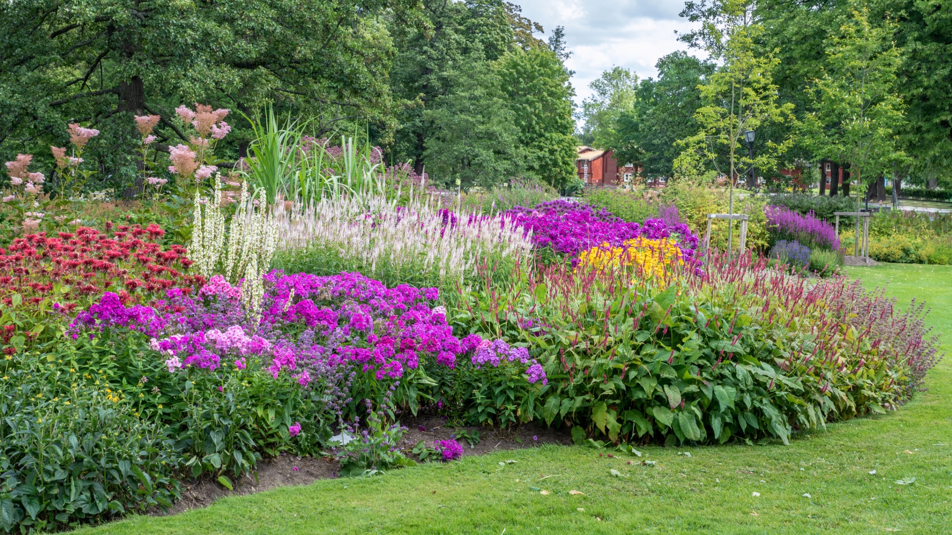 image of garden flowerbed